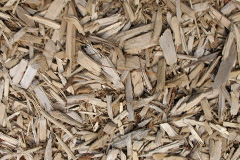 biomass boilers Hayle